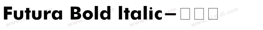 Futura Bold ltalic字体转换